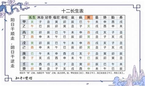 十二長生算命